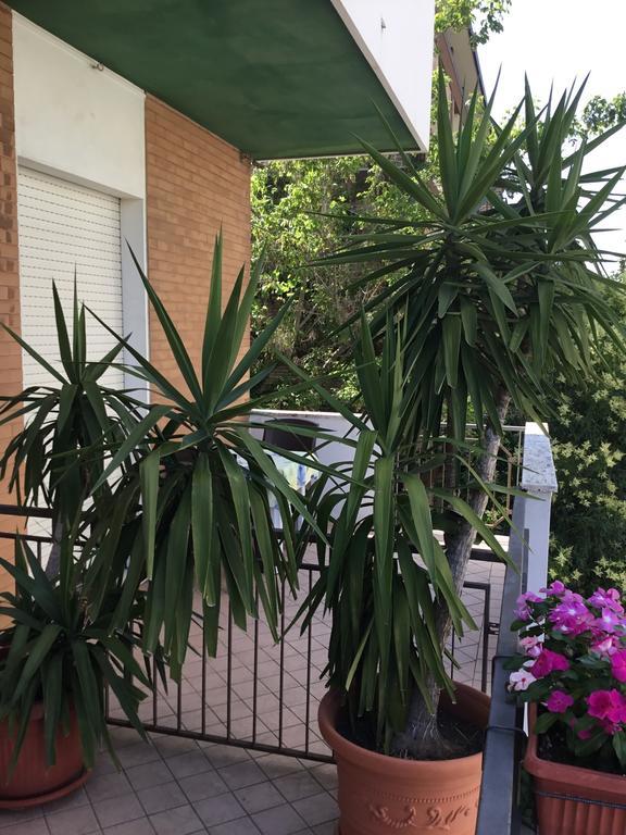Hotel Mirella Римини Екстериор снимка